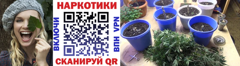 Купить закладку Кетамин COCAIN МЕФ ГАШИШ APVP АМФ Сальск