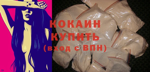 прущие крисы Горняк