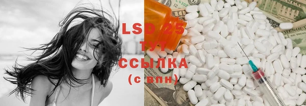 прущие крисы Горняк