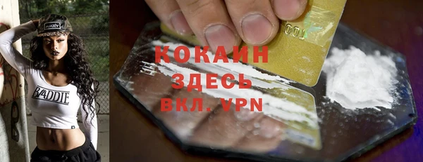 прущие крисы Горняк