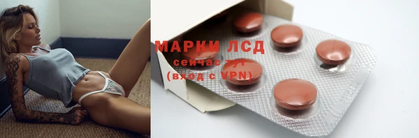 прущие крисы Горняк
