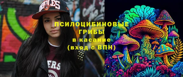 PSILOCYBIN Снежногорск