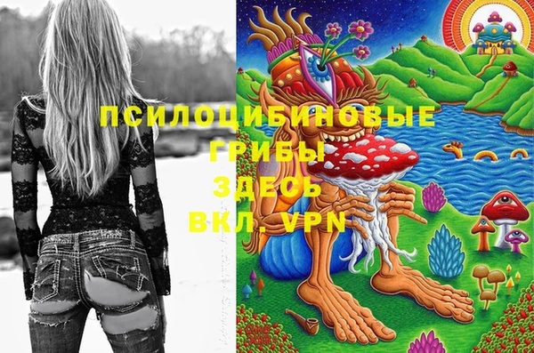 прущие крисы Горняк