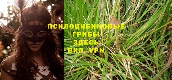 прущие крисы Горняк