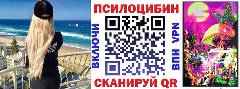 Купить  Сальск  Галлюциногенные грибы Psilocybine cubensis 